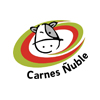 Carnes Ñuble