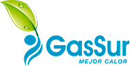 Gassur