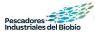 pescadores-industriales-bb